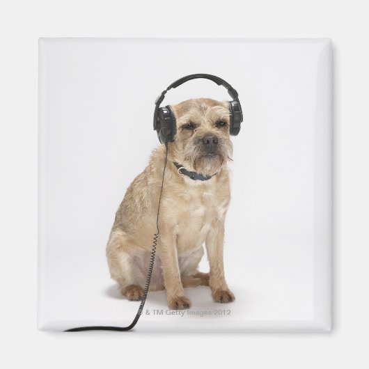 Kleine hond met hoofdtelefoon magneet (Voorkant)