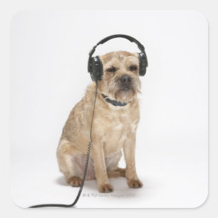 Kleine hond met hoofdtelefoon vierkante sticker