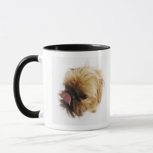 Kleine hond op witte achtergrond, uitzicht met hog mok (Links)