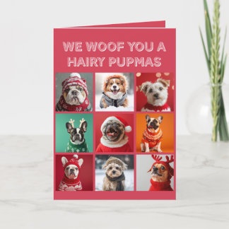 Kleine honden in truien Kerstkaart Feestdagen Kaart
