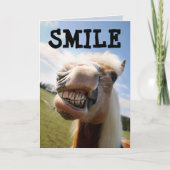 KLEINE HORSE FUNNY BIRTHDAY CARDS KAART (Voorkant)