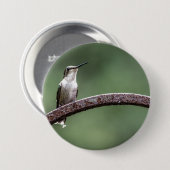 Kleine Hummingbird Button zijn (Voorkant /achterkant)