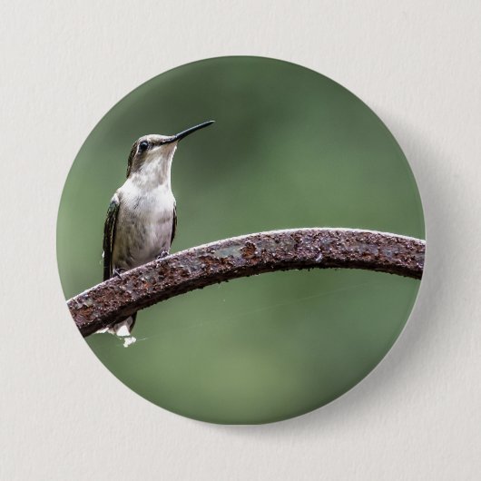 Kleine Hummingbird Button zijn (Voorkant)