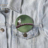 Kleine Hummingbird Button zijn (In situ)