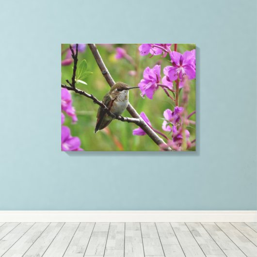 kleine Hummingvogel Canvas Afdruk (Insitu (Houten vloer))