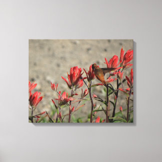 kleine Hummingvogel Canvas Afdruk