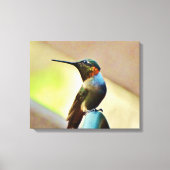 kleine Hummingvogel Canvas Afdruk (Voorkant)