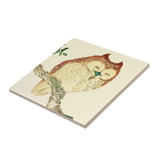 Kleine Japanse uil Tegeltje (Zijkant)
