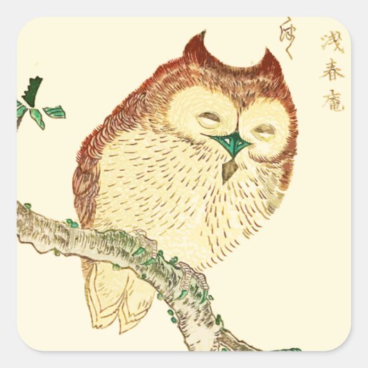 Kleine Japanse uil Vierkante Sticker (Voorkant)