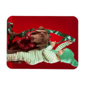 Kleine jongen die een hond versiert magneet (Horizontaal)