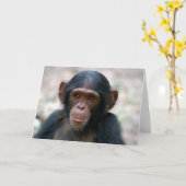 Kleine jongen kaart (Gele Bloem)