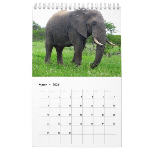 Kleine kalender 2026 met wilde dieren (Mar 2026)