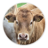 KLEINE KALF KERAMISCHE KNOP (Voorkant)