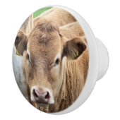 KLEINE KALF KERAMISCHE KNOP (Rechts)