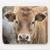 KLEINE KALF MUISMAT (Voorkant)