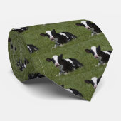 Kleine kalf stropdas (Opgerold)