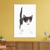 Kleine kat canvas afdruk (Insitu (Woonkamer))