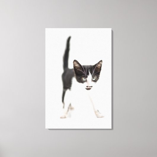 Kleine kat canvas afdruk (Voorkant)