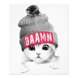 Kleine kat foto afdruk