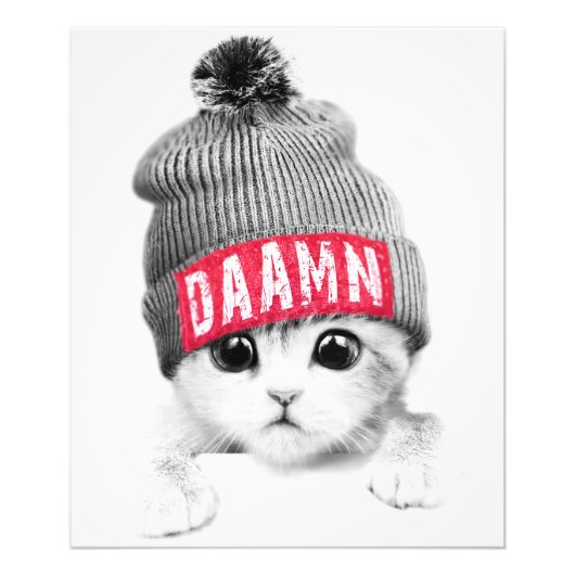 Kleine kat foto afdruk (Voorkant)