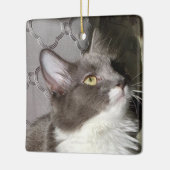 Kleine Kat Keramisch Ornament (Links)