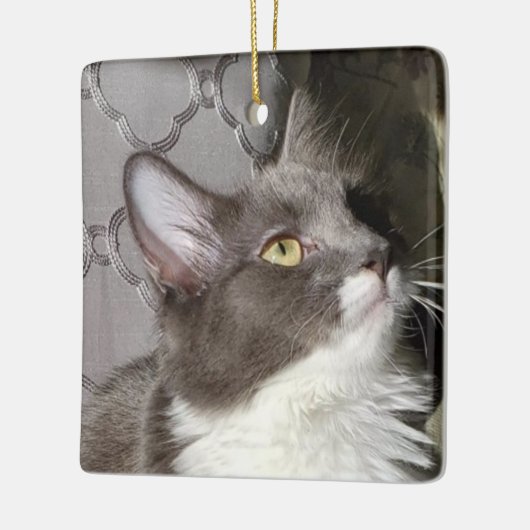 Kleine Kat Keramisch Ornament (Links)
