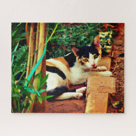 Kleine kat legpuzzel