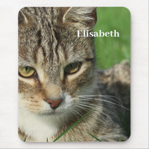 kleine kat op een groene lentewwei muismat