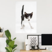 Kleine kat poster (Thuiskantoor)