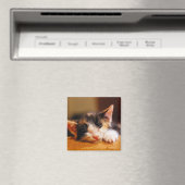 Kleine Kat slaapstand Magneet (Insitu (Vaatwasser))