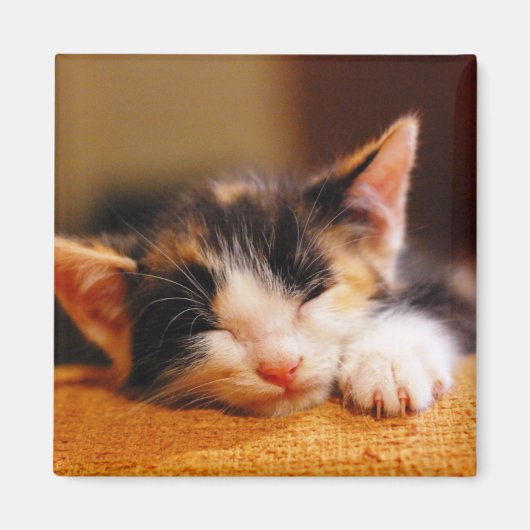 Kleine Kat slaapstand Magneet (Voorkant)