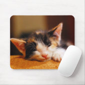 Kleine Kat slaapstand Muismat (Met muis)