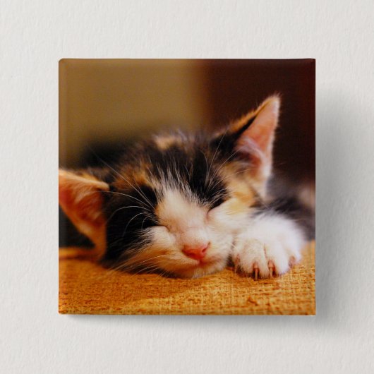 Kleine Kat slaapstand Vierkante Button 5,1 Cm (Voorkant)