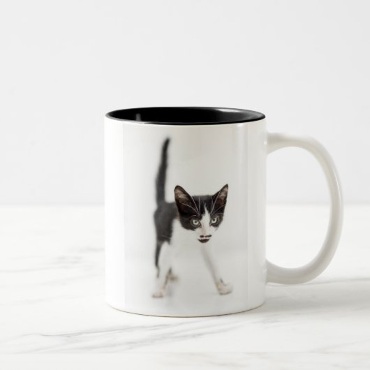 Kleine kat tweekleurige koffiemok (Rechts)