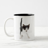 Kleine kat tweekleurige koffiemok (Links)