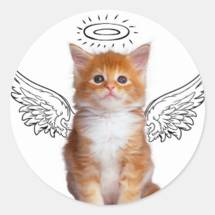 Kleine katjes met vleugels ronde sticker
