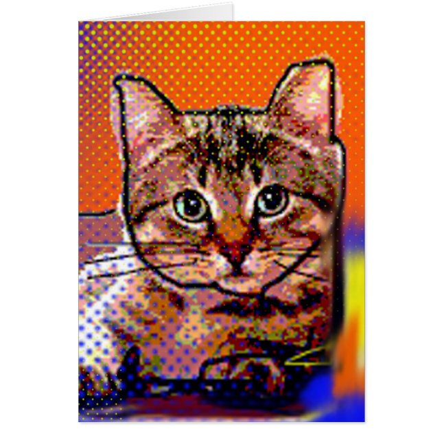 kleine katten (Voorkant)