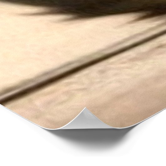 Kleine kattenkatten donkerbruin en strepen poster (Hoek)