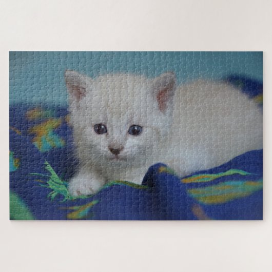 kleine kattenpuzzel legpuzzel (Horizontaal)