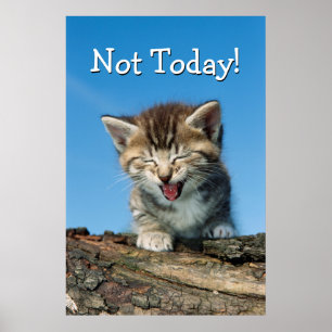 Kleine keuken in een boom poster