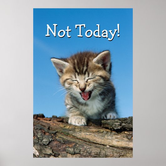 Kleine keuken in een boom poster (Voorkant)