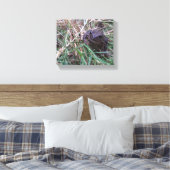 Kleine kikker canvas afdruk (Insitu (Slaapkamer))