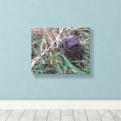 Kleine kikker canvas afdruk (Insitu (Houten vloer))