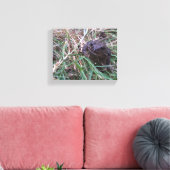 Kleine kikker canvas afdruk (Insitu (Woonkamer))