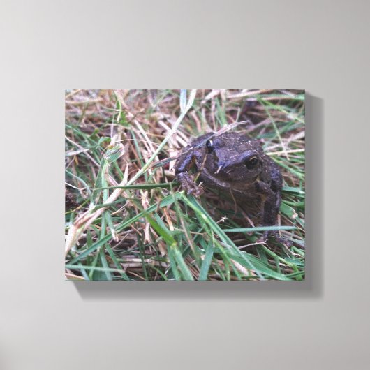 Kleine kikker canvas afdruk (Voorkant)