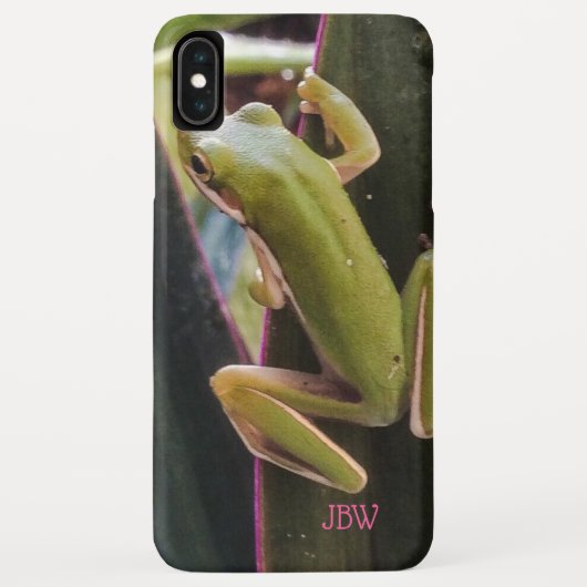 Kleine kikker in de tuin Case-Mate iPhone case (Achterkant)