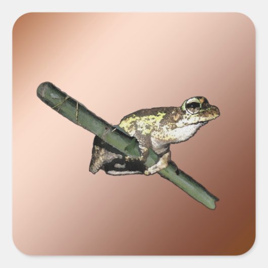 Kleine kikkerolie verf, stickers (Voorkant)