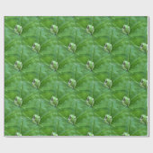 Kleine kikkers.... cadeaupapier (Vlak)