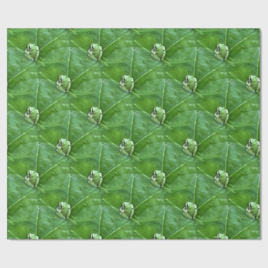 Kleine kikkers.... cadeaupapier (Vlak)