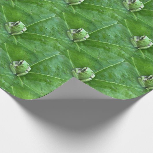 Kleine kikkers.... cadeaupapier (Hoek)